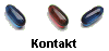 Kontakt