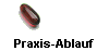 Praxis-Ablauf